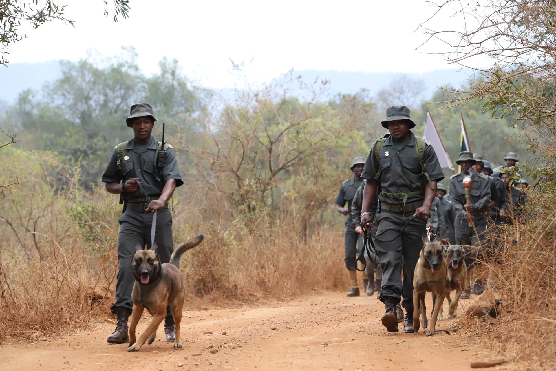conservation-experience-k9-walk.jpg