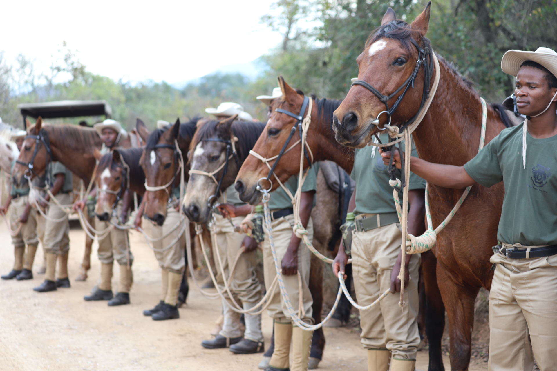 conservation-experience-mounted-walk.jpg